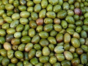 Taş Kırma Yeşil Zeytin