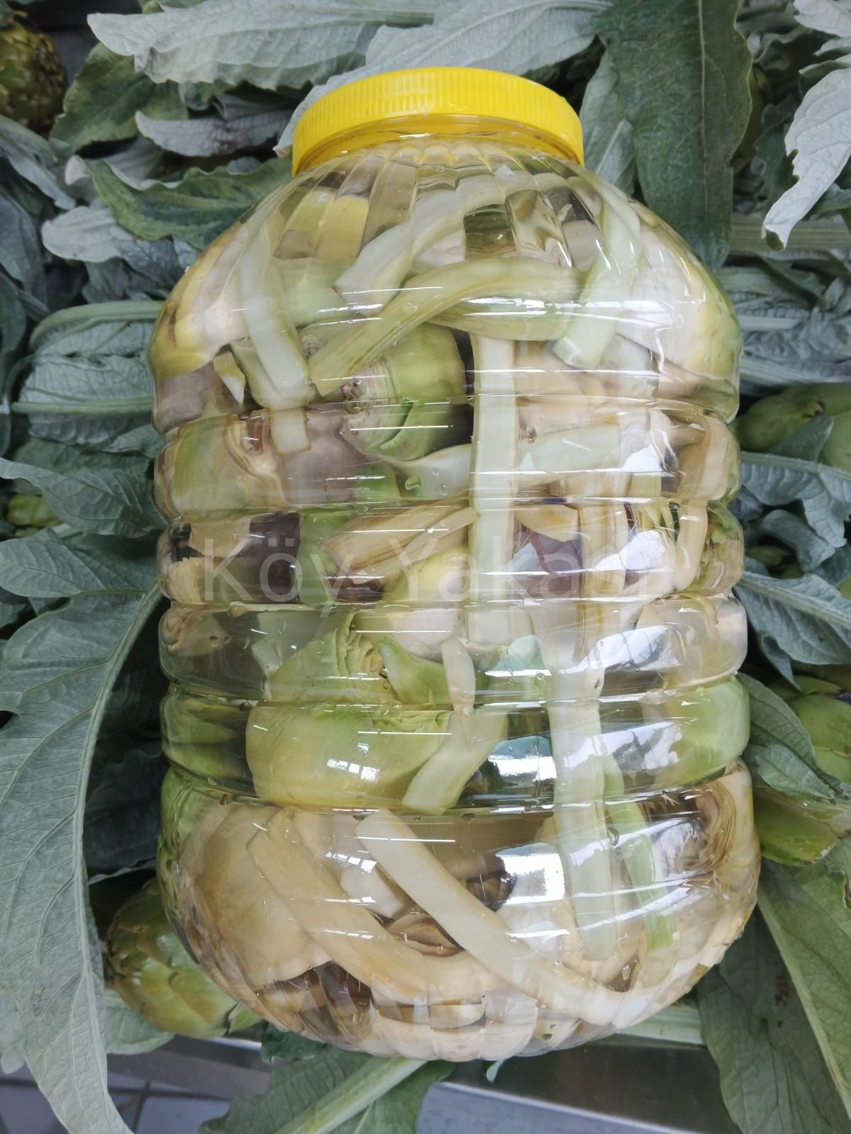 Taze Yarma Kalp Enginar 40 adet