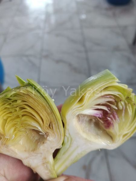 Taze Yarma Kalp Enginar 40 adet