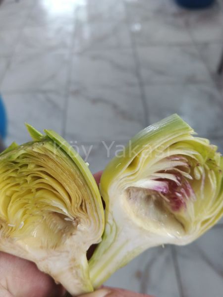 Taze Yarma Kalp Enginar 40 adet