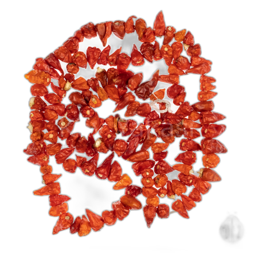 Arnavut Biber 1 dizi