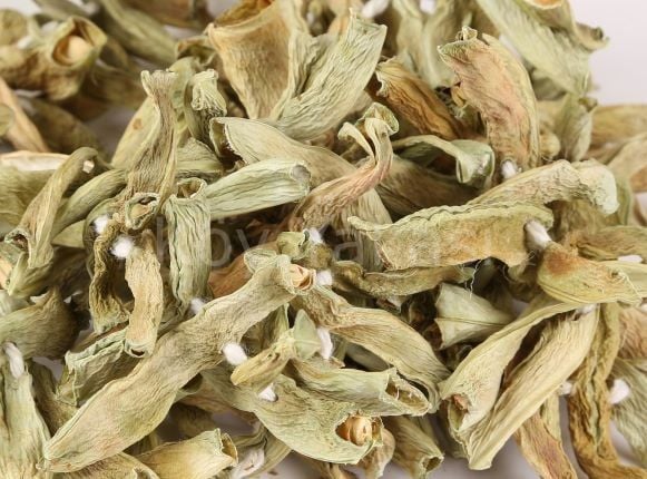 Kurutulmuş Fasulye 1 dizi