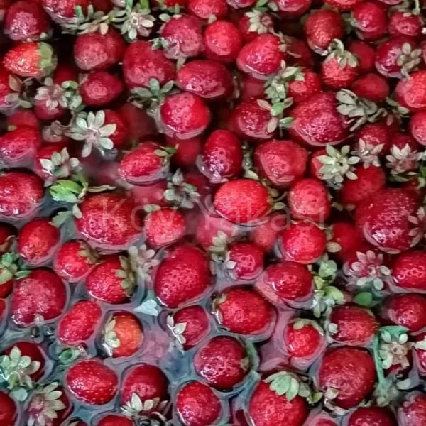 Çilek Kurusu Güneşte Kurutulmuş 1 kg