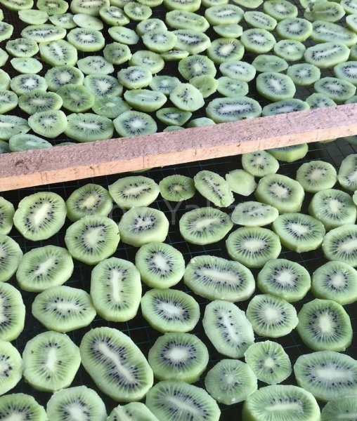 Kivi kurusu Güneşte Kurutulmuş 1 kg