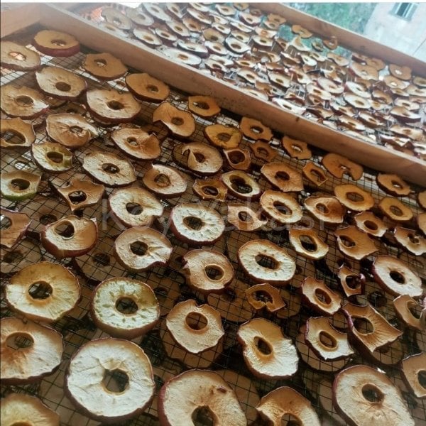 Elma Kurusu Güneşte Kurutulmuş