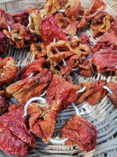 Dolmalık Acı Biber 45-50 adet /1 Dizi