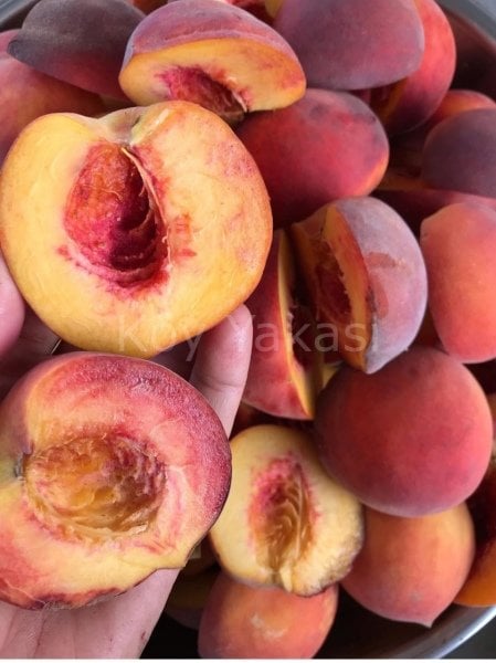 Şeftali Kurusu Güneşte Kurutulmuş 1 kg