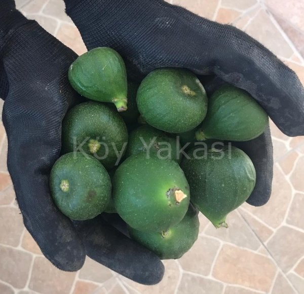 Ham İncir Reçeli  450 gr