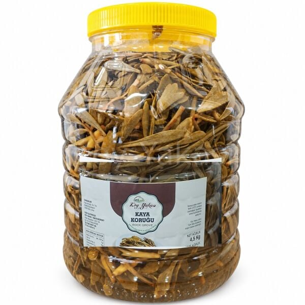 Kullanıma Hazır Kaya Koruğu Turşusu 5 kg