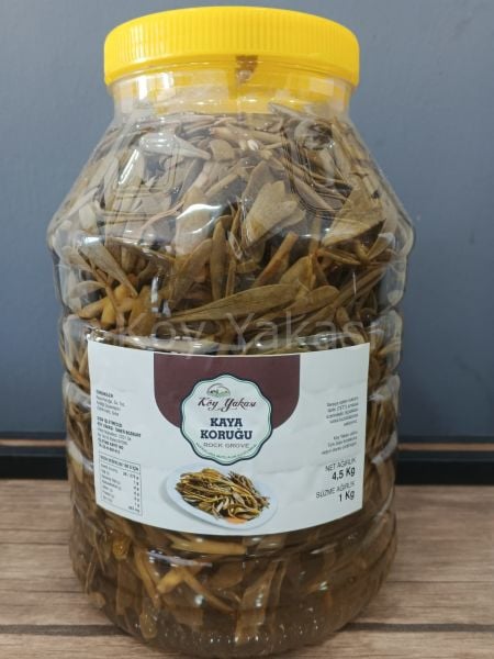 Kullanıma Hazır Kaya Koruğu Turşusu 5 kg