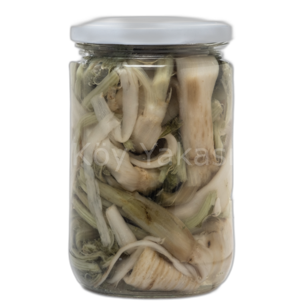 Şevket-i Bostan  720 gr