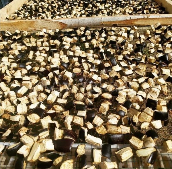 Kuru Patlıcan Yemeklik 200 gr