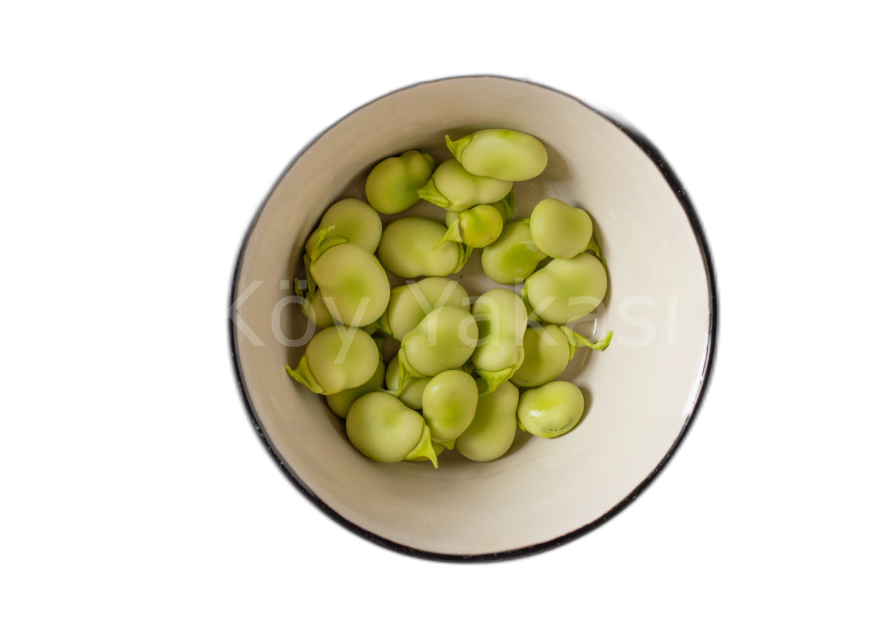 Taze iç Bakla 1 kg