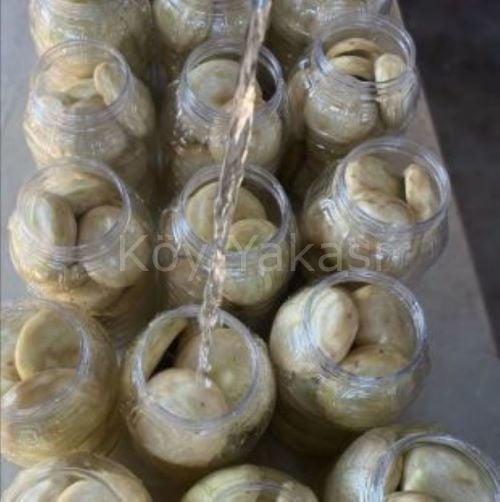 Taze Çanak Enginar 15 adet