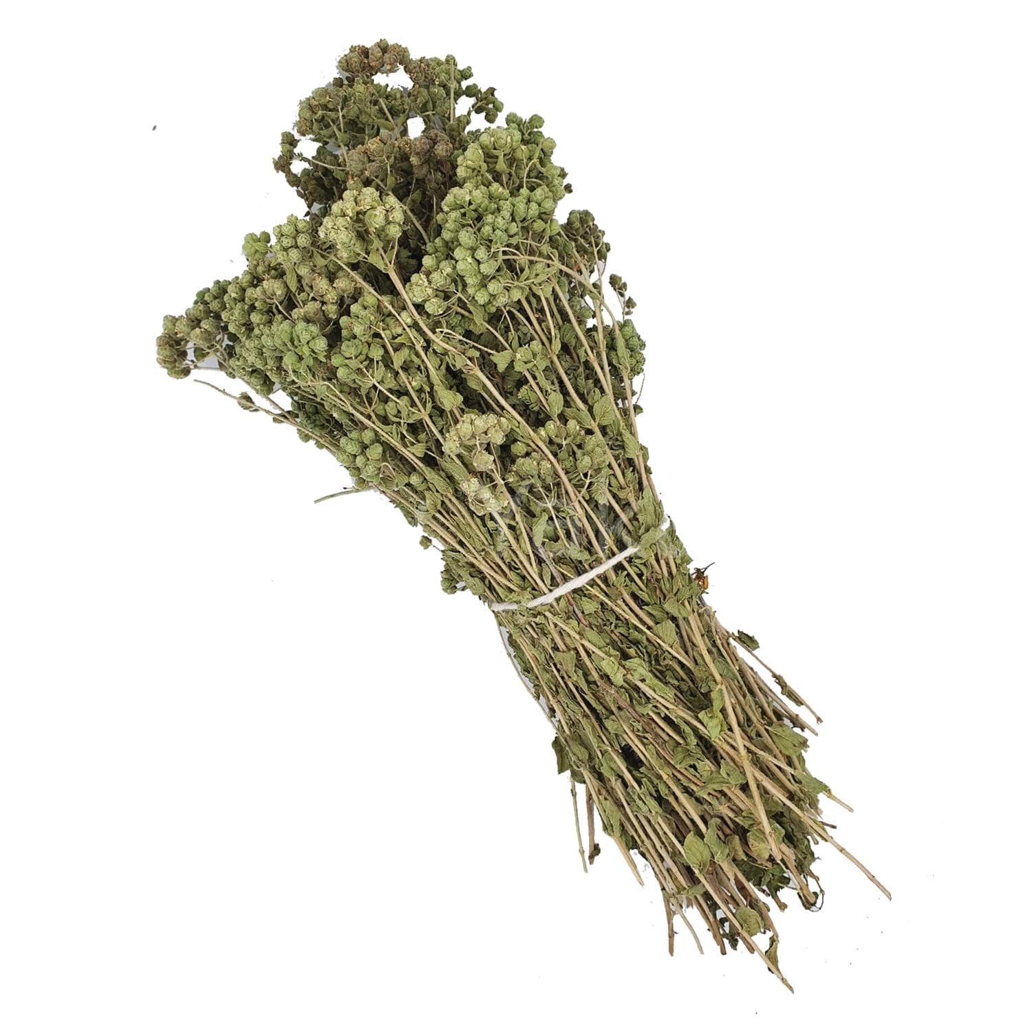 DAĞ KEKİĞİ 1 DEMET