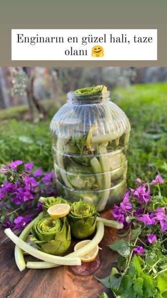 TAZE DOLMALIK ENGİNAR 15 adet